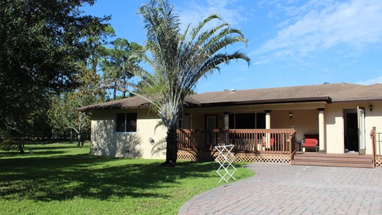 Punta Common 1 13