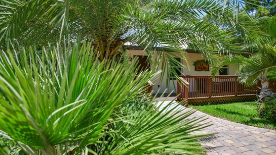 Hippocrates Wellness Lapalma Common 3
