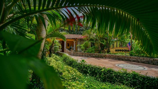 Hippocrates Wellness Hacienda Common 3