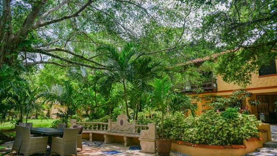 Hippocrates Wellness Hacienda Common 6