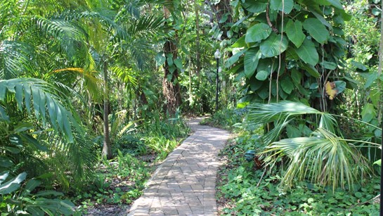Hacienda Common 5