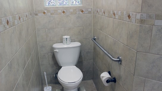 A1