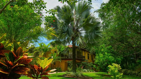 Hippocrates Wellness Hacienda Common 9