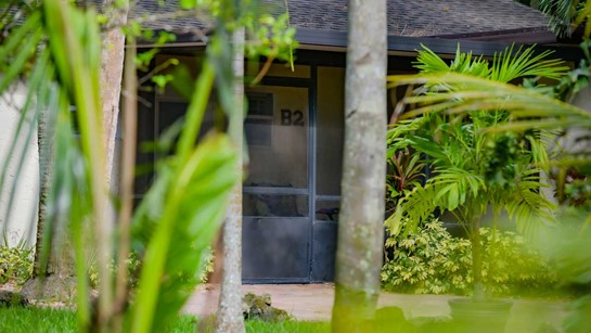 Hippocrates Wellness Cottage B2 Common 3