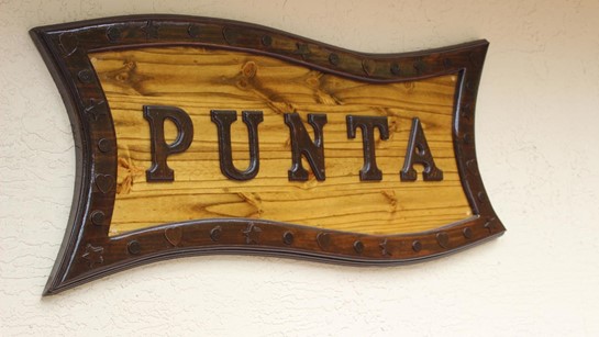 Punta Common 1 8