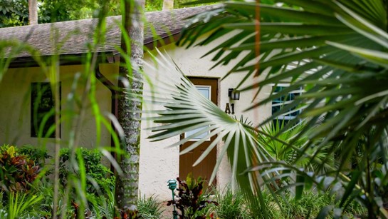 Hippocrates Wellness Cottage A1 2