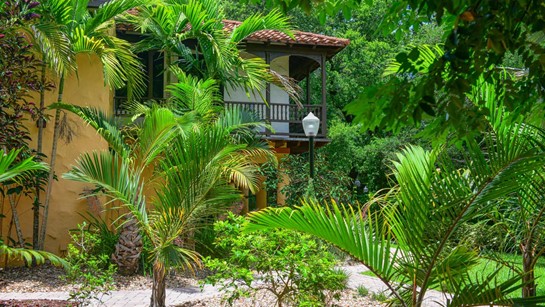 Hippocrates Wellness Hacienda Common 8