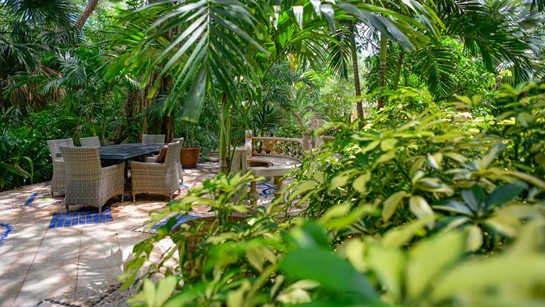 Hippocrates Wellness Hacienda Common 4