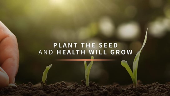 Plant Seed Health Grow