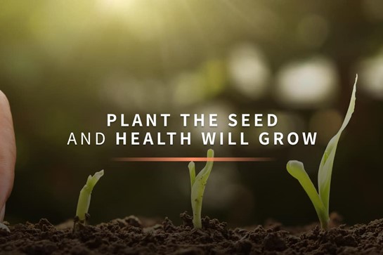 Plant Seed Health Grow