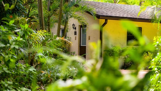 Hippocrates Wellness Cottage B1 Common 4