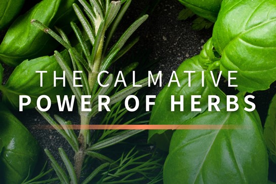 Calmative Power of Herbs