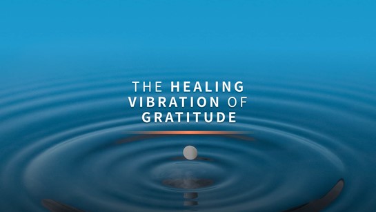Gratitude Vibration Min