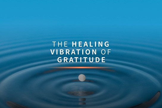 Gratitude Vibration Min