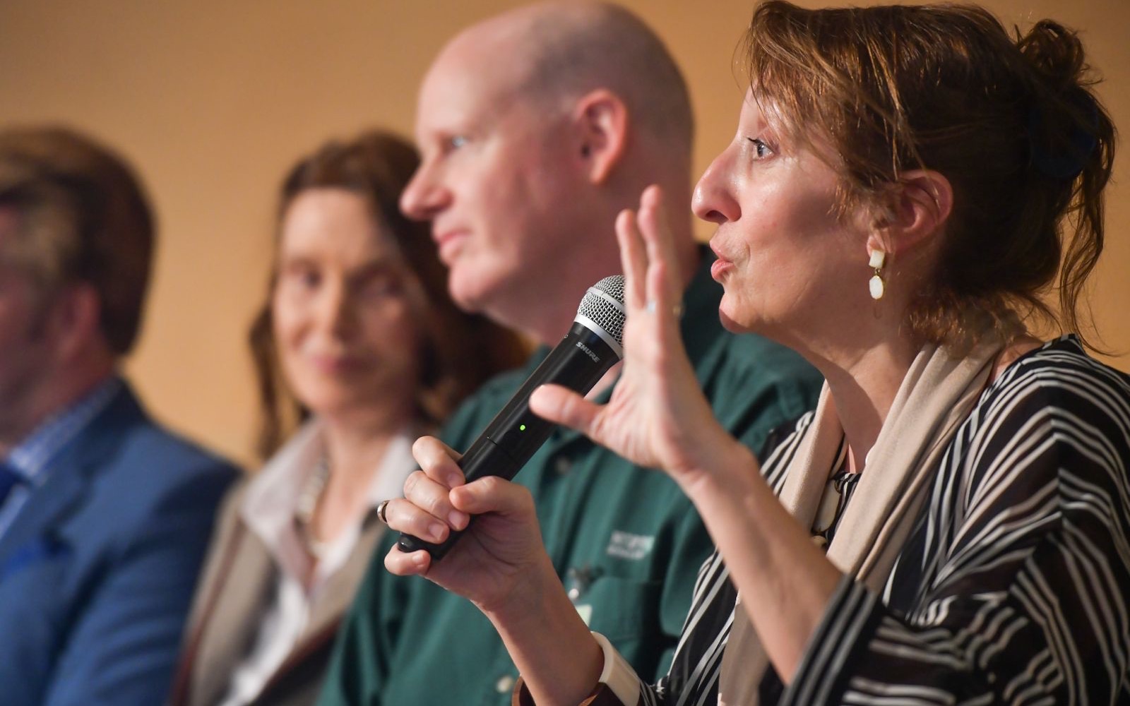 A speaker addressing the audience during a session at Hippocrates Wellness